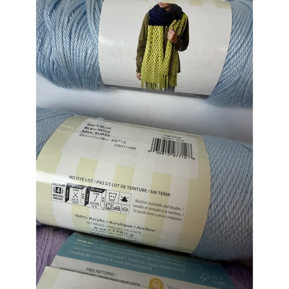 Caron Simply Soft Yarn 4 Pack Himalayan Salt 6oz 315yds Orchid Purple Soft Blue - Picture 5 of 8